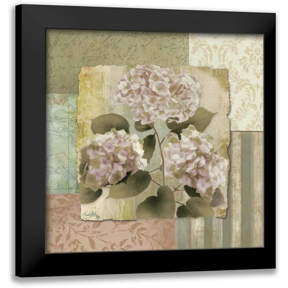 Medley, Elizabeth 15x15 Black Modern Framed Museum Art Print Titled - Botanical Hydrangeas