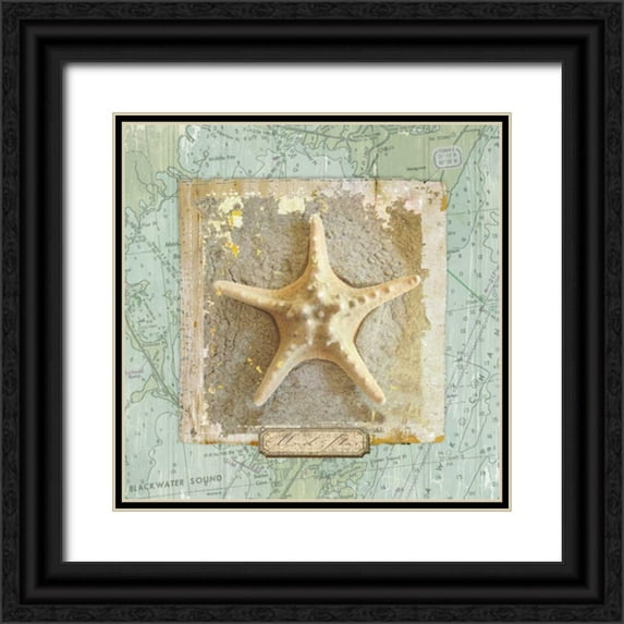 Medley, Elizabeth 20x20 Black Ornate Wood Framed with Double Matting Museum Art Print Titled - Seashore Collection III