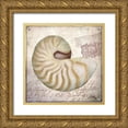 thumbnail image 1 of Medley, Elizabeth 26x26 Gold Ornate Wood Framed with Double Matting Museum Art Print Titled - Beach Shell III, 1 of 4