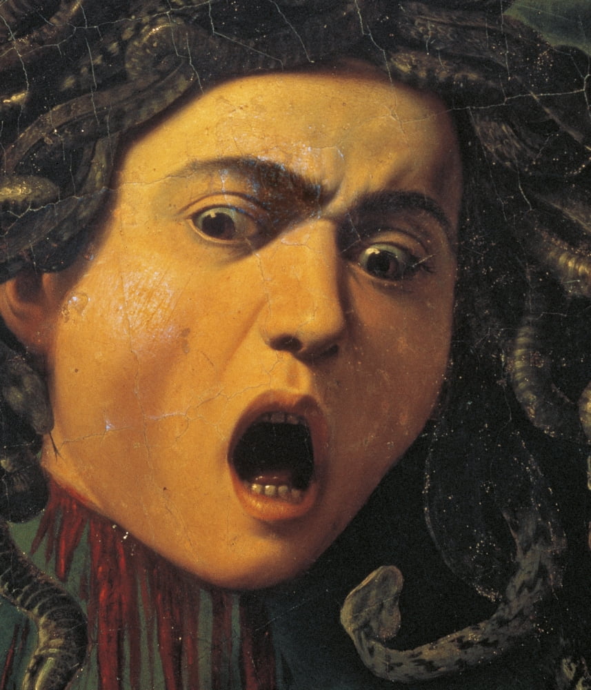 Medusa Canvas Art - (24 x 36)