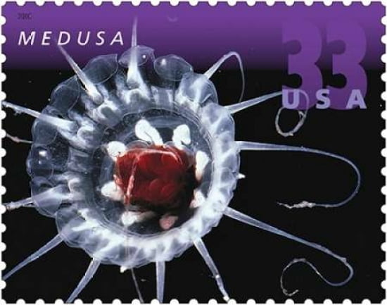 Medusa Canvas Art - US POSTAL SERVICE (24 x 30)