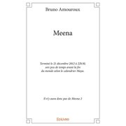 Meena Ou le dernier roman, Paperback