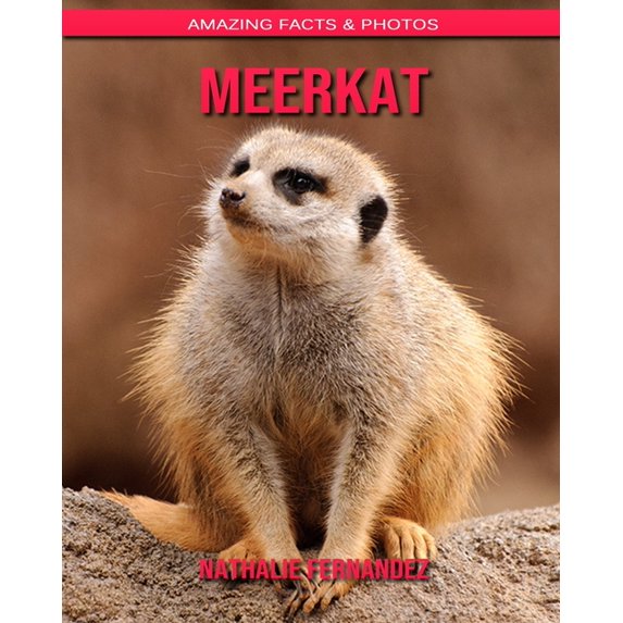 Meerkat : Amazing Facts & Photos (Paperback)