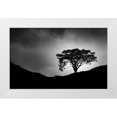 thumbnail image 1 of Meermann, Christian 32x22 White Modern Wood Framed Museum Art Print Titled - Lone Tree, 1 of 4