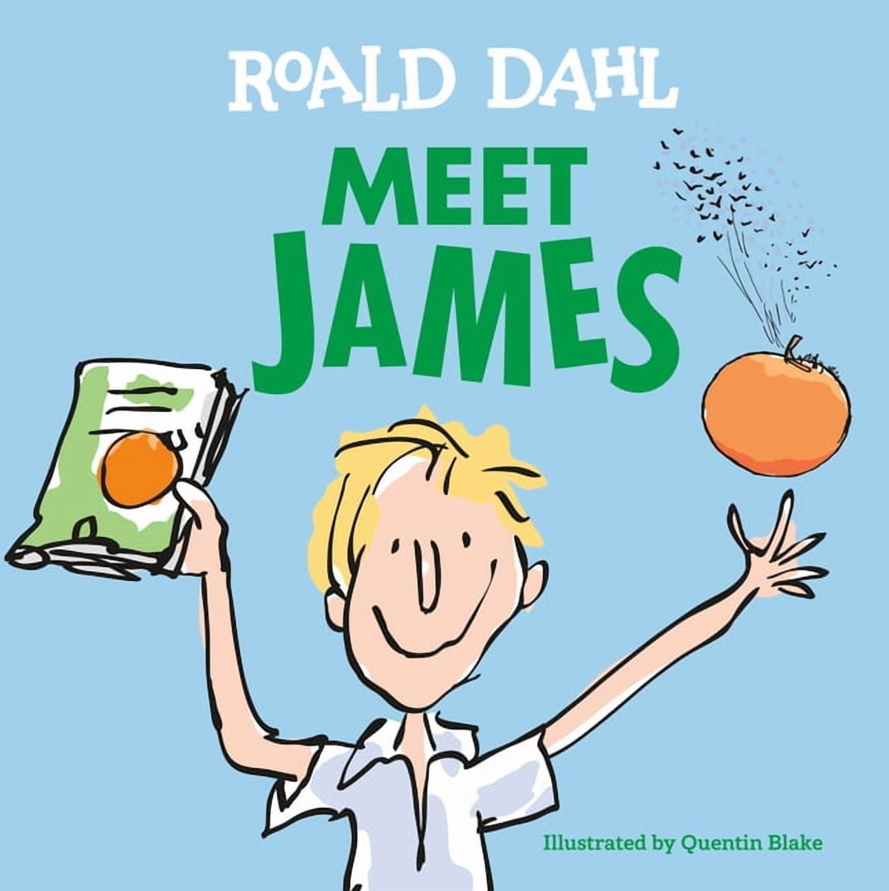 Meet James, (Hardcover)