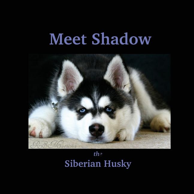 Meet Shadow the Siberian Husky : Meet Shadow - Walmart.com