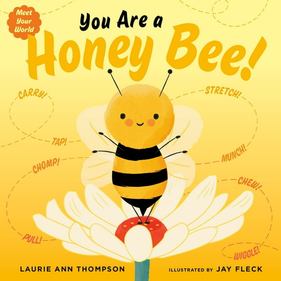 Meet Your World You Are a Honey Bee!, (Board Book)