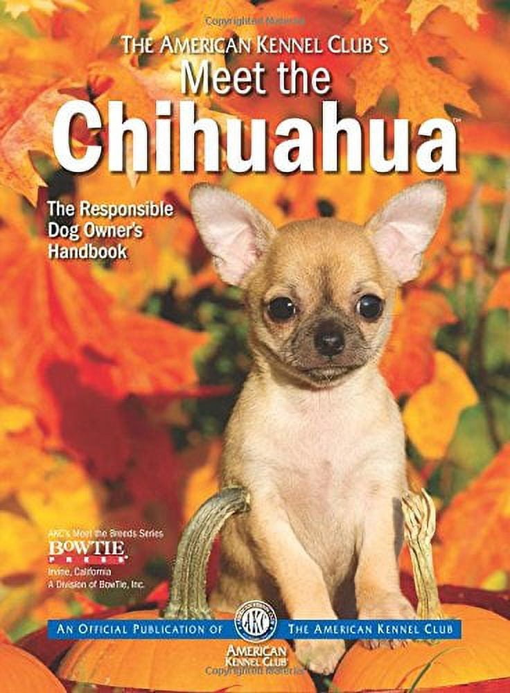 Meet the Chihuahua American Kennel Clubs Meet the Breed , PreOwned