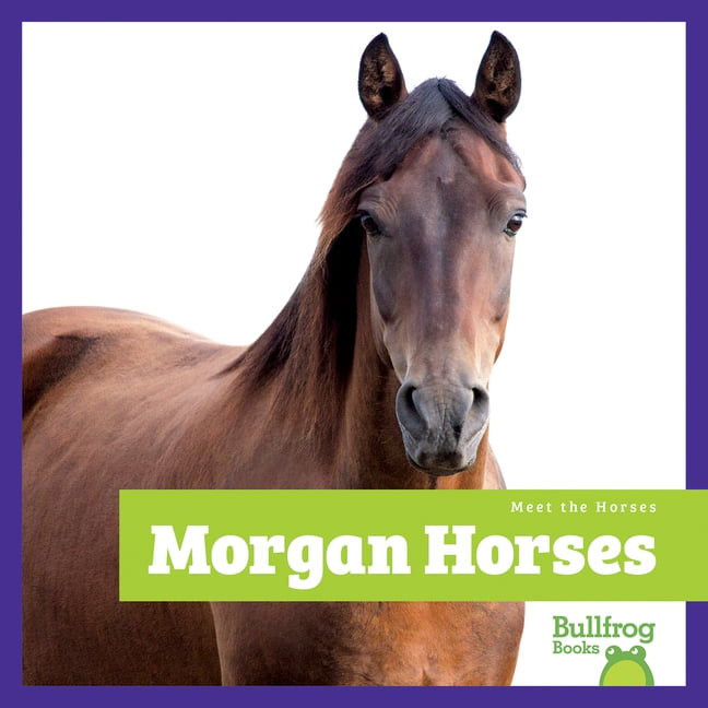 Meet the Horses Morgan Horses, (Paperback)