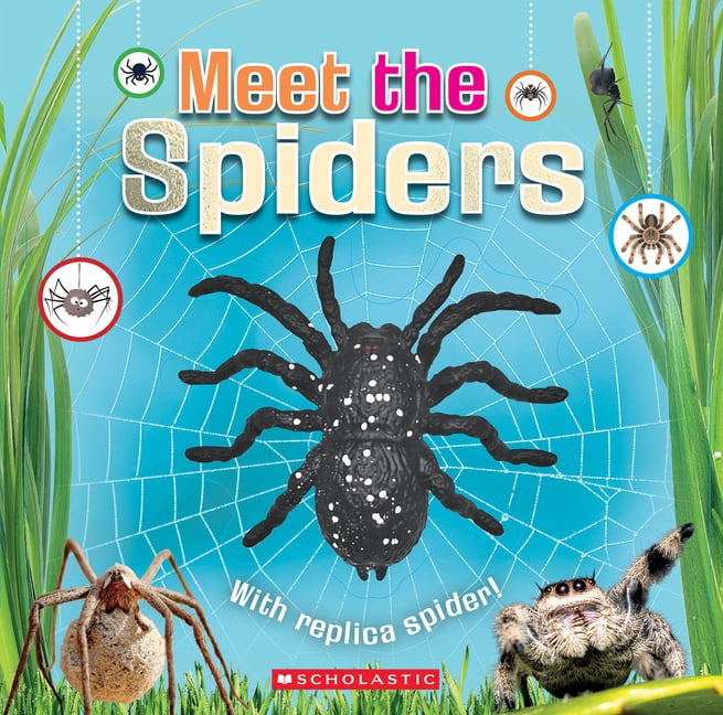 Meet the Spiders (Meet the Book with Spider Toy), (Paperback)