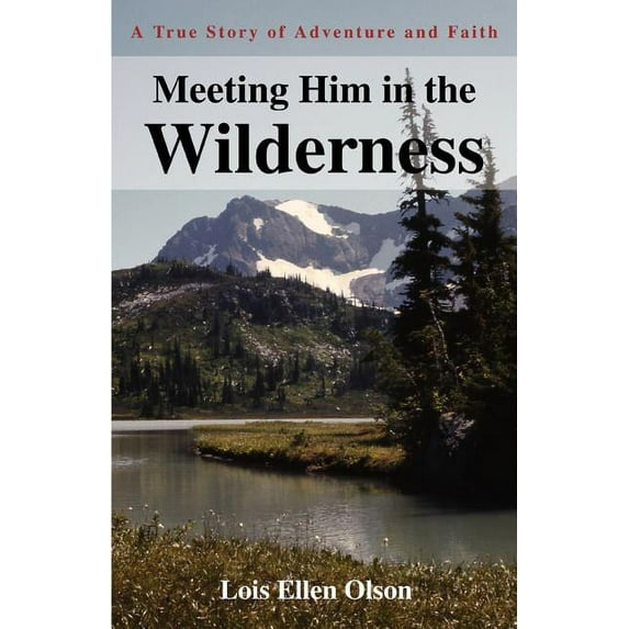 Meeting Him in the Wilderness: A True Story of Adventure and Faith (Paperback)