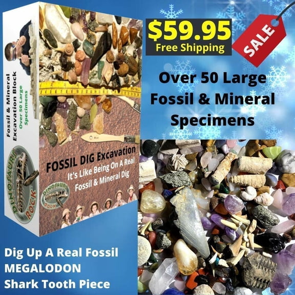 Mega Gemstone & Fossil Dig Excavation Kit Over 50 Real Specimens