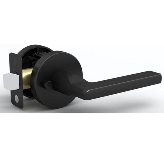 Mega Handles | Ralph Privacy Door Lever | Matte Black