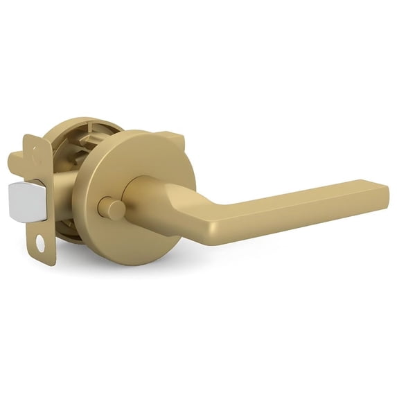 Mega Handles Ralph Privacy Door Lever, Stainless Steel, 5" Lever, Round Rosette, Reversible, Fits Standard Doors, Includes Screws, 1 Pack