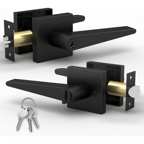 Mega Handles | Schein Entry Lever | Matte Black