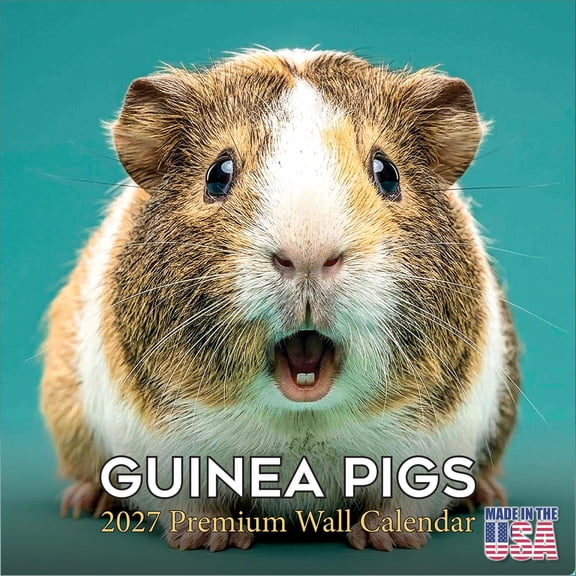 MegaCalendars 2026-2027 Guinea Pigs Wall Calendar, 12x12 Bonus Month Small Pet Edition, Made in USA