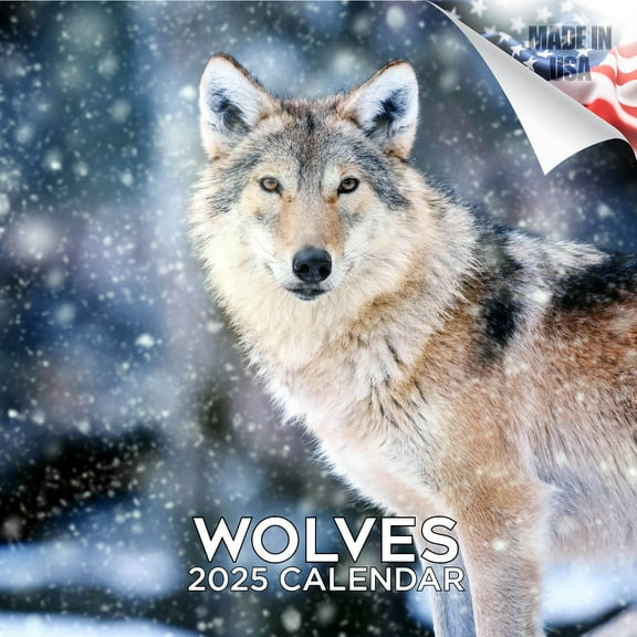 2025 2026 Wolves Calendar - Wildlife Monthly Wall Calendar - 12 x 24 Open - Thick No-Bleed Paper - Giftable - Academic Teacher's Planner Calendar Organizing & Planning - Made in USA