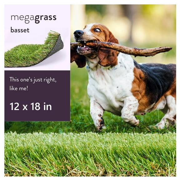 MegaGrass Basset 12 x 18 in Artificial Grass for Medium Pet Dog Potty Indoor/Outoor Area Rug