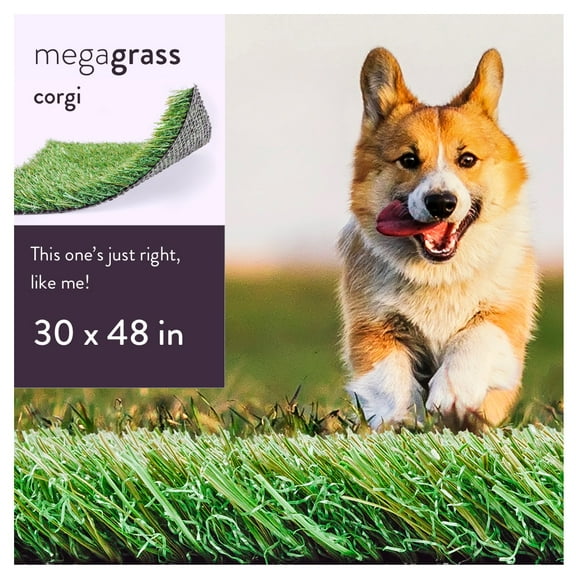 MegaGrass Corgi 30 x 48 in Artificial Grass for Medium Pet Dog Potty Indoor/Outoor Area Rug