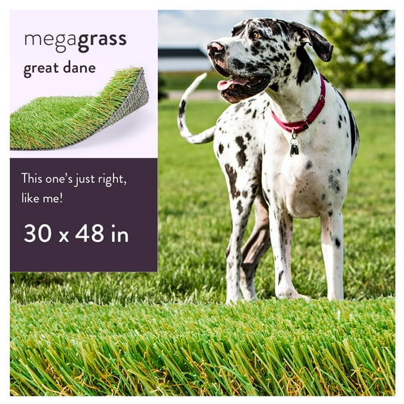MegaGrass Great Dane 30 x 48 in Artificial Grass for Large Pet Dog Potty Indoor/Outoor Area Rug