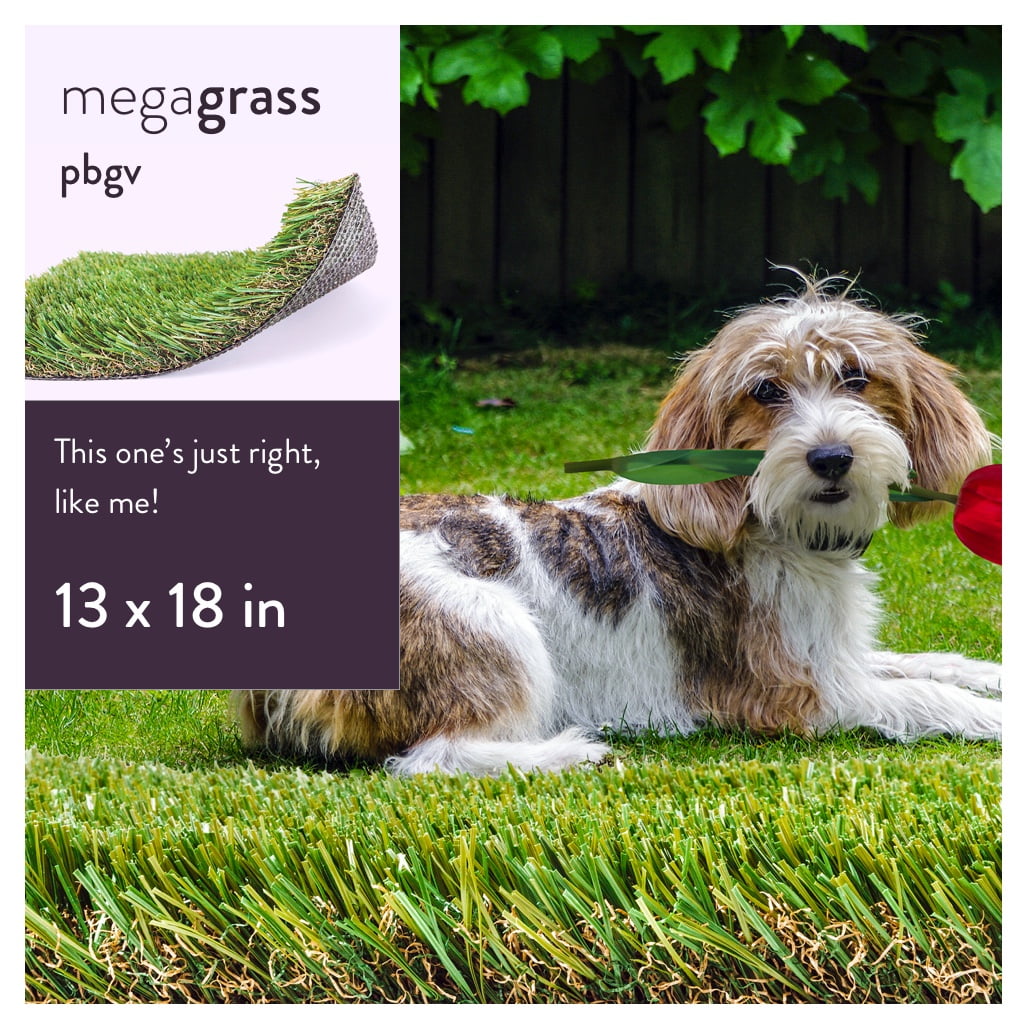 Dog Potty Grass - Furrypalsng