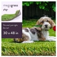 thumbnail image 1 of MegaGrass PBGV 30 x 48 in Artificial Grass for Medium Pet Dog Potty Indoor/Outoor Area Rug, 1 of 9