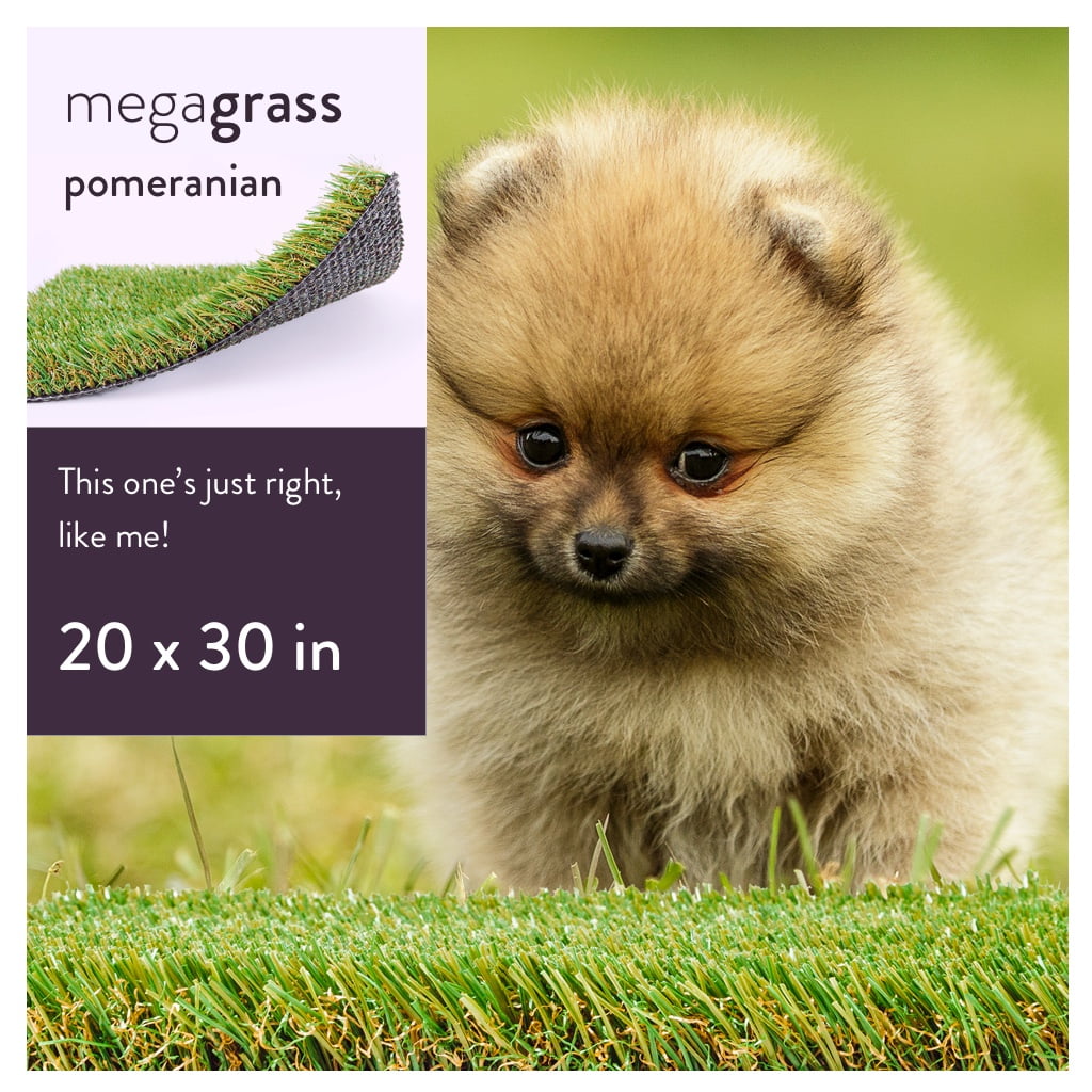 MegaGrass Pomeranian 20 x 30 in Artificial Grass for Small Pet Dog Potty Indoor/Outoor Area Rug
