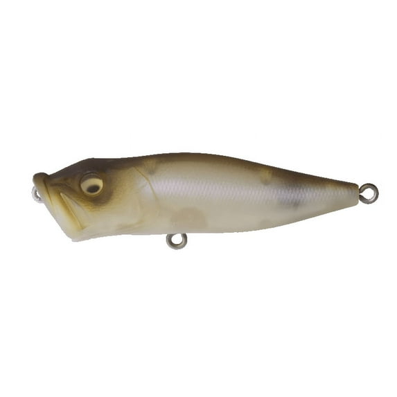 Megabass Pop-X Topwater Popper