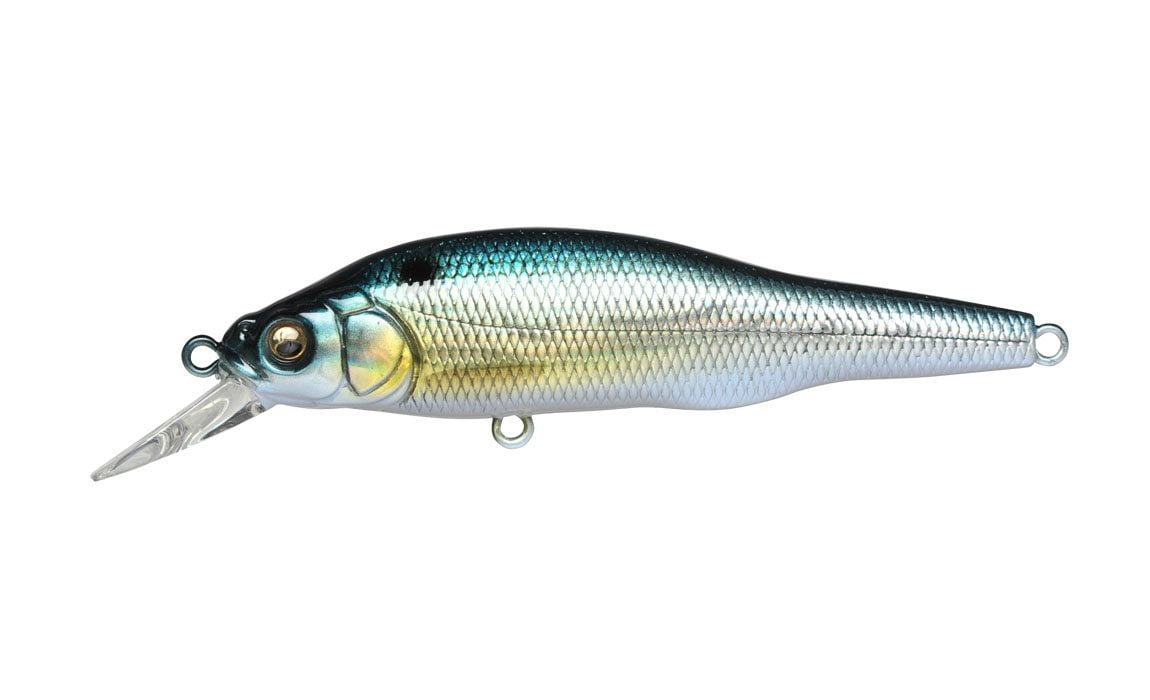 X-80 TRICK DARTER GG Threadfin shad
