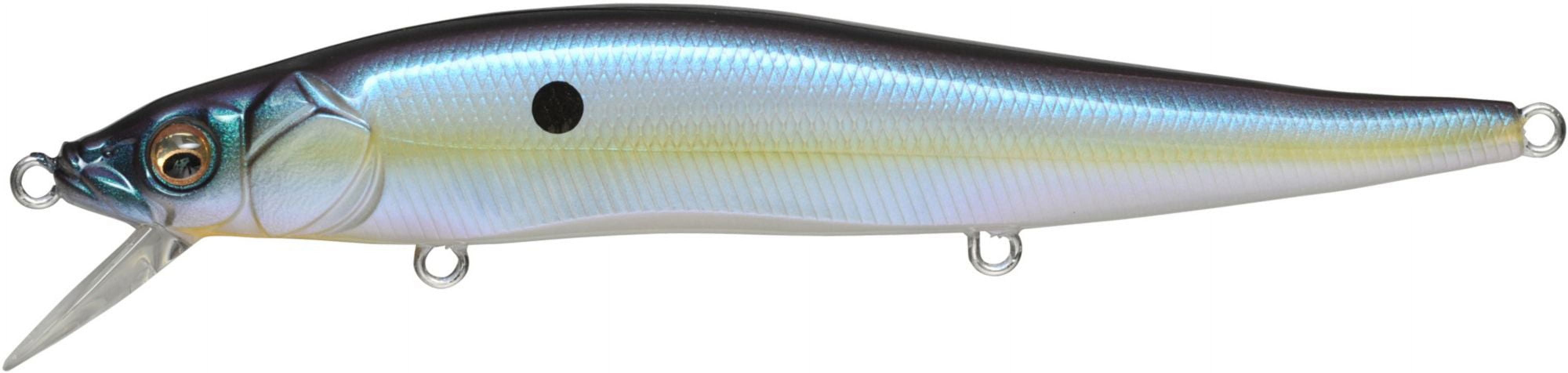 QualyQualy Soft Plastic Fishing Lure Shad Lure Shad Algeria