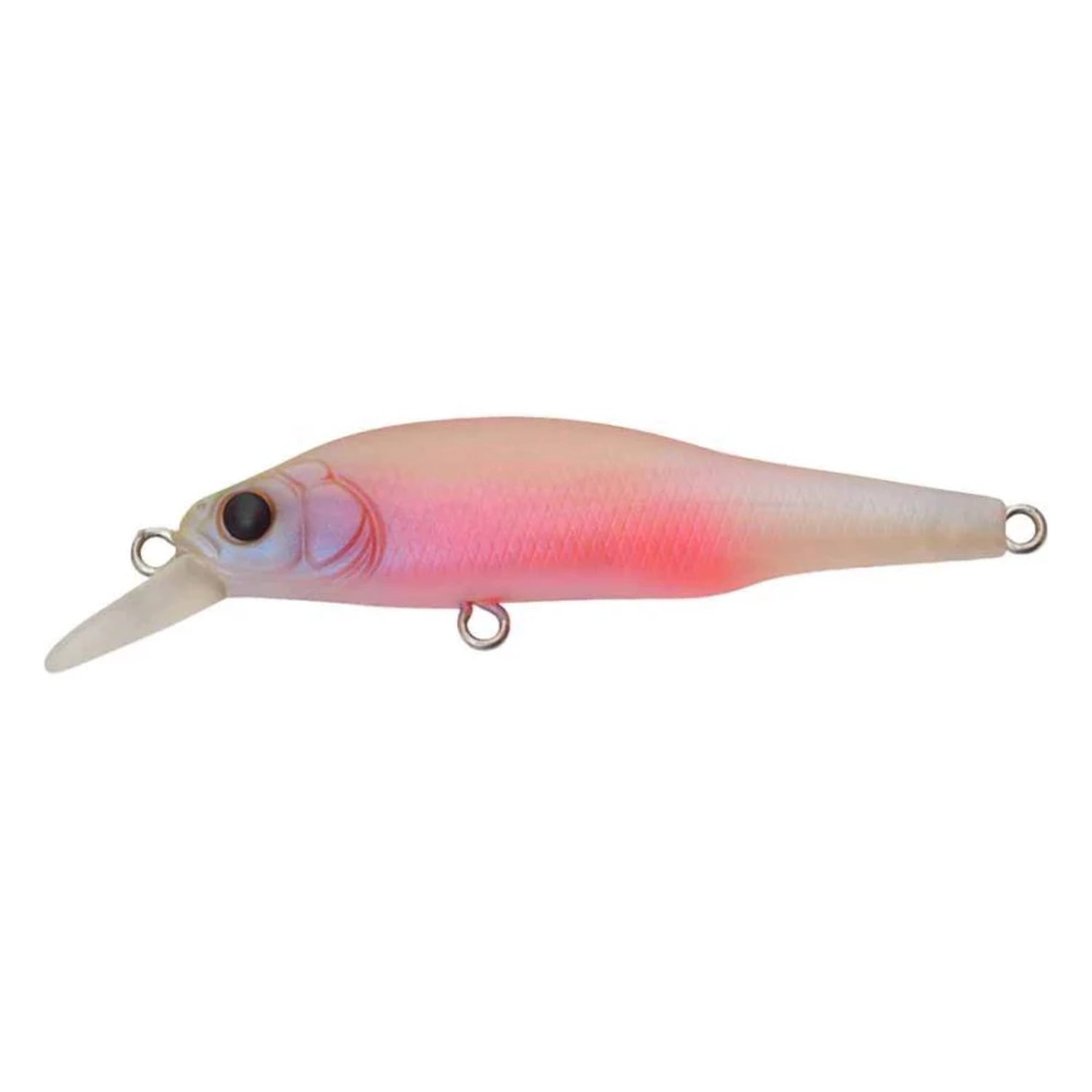 Megabass X-80 Jr. BFS Jerkbait - 2.6" (Baby Kingyo)