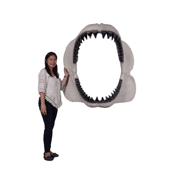 Megalodon Shark Jaw Wall Decor Life Size Statue