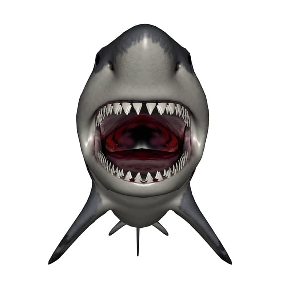 Megalodon dinosaur with mouth open Poster Print