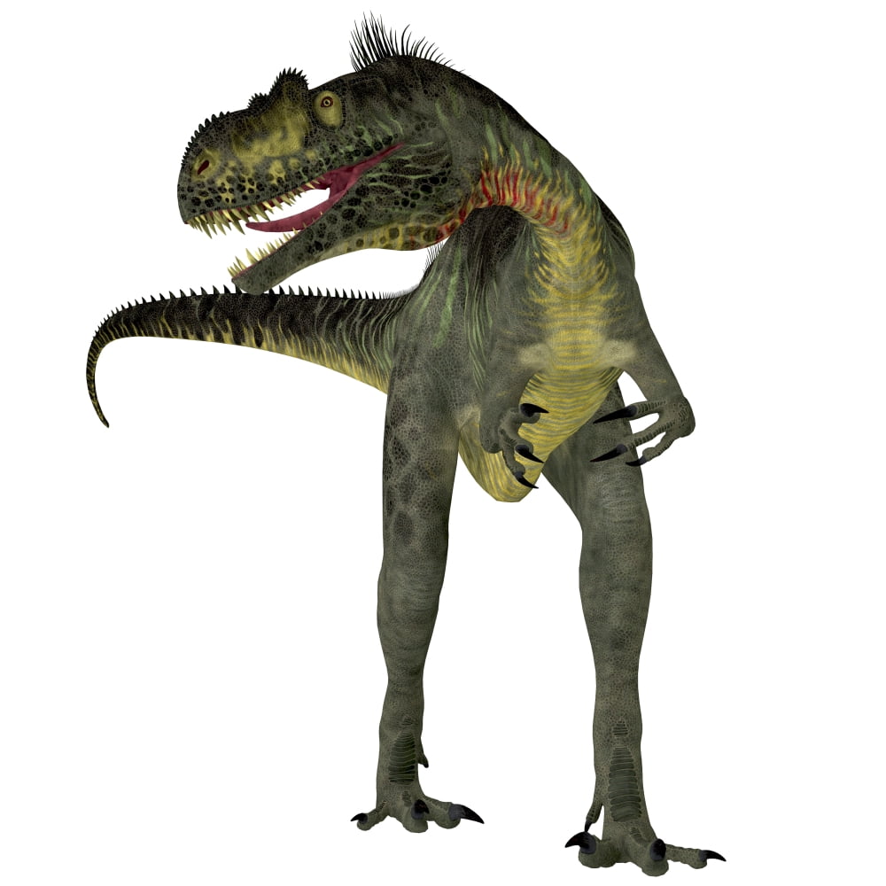 Megalosaurus dinosaur front view Canvas Art - Corey FordStocktrek Images (28 x 28)