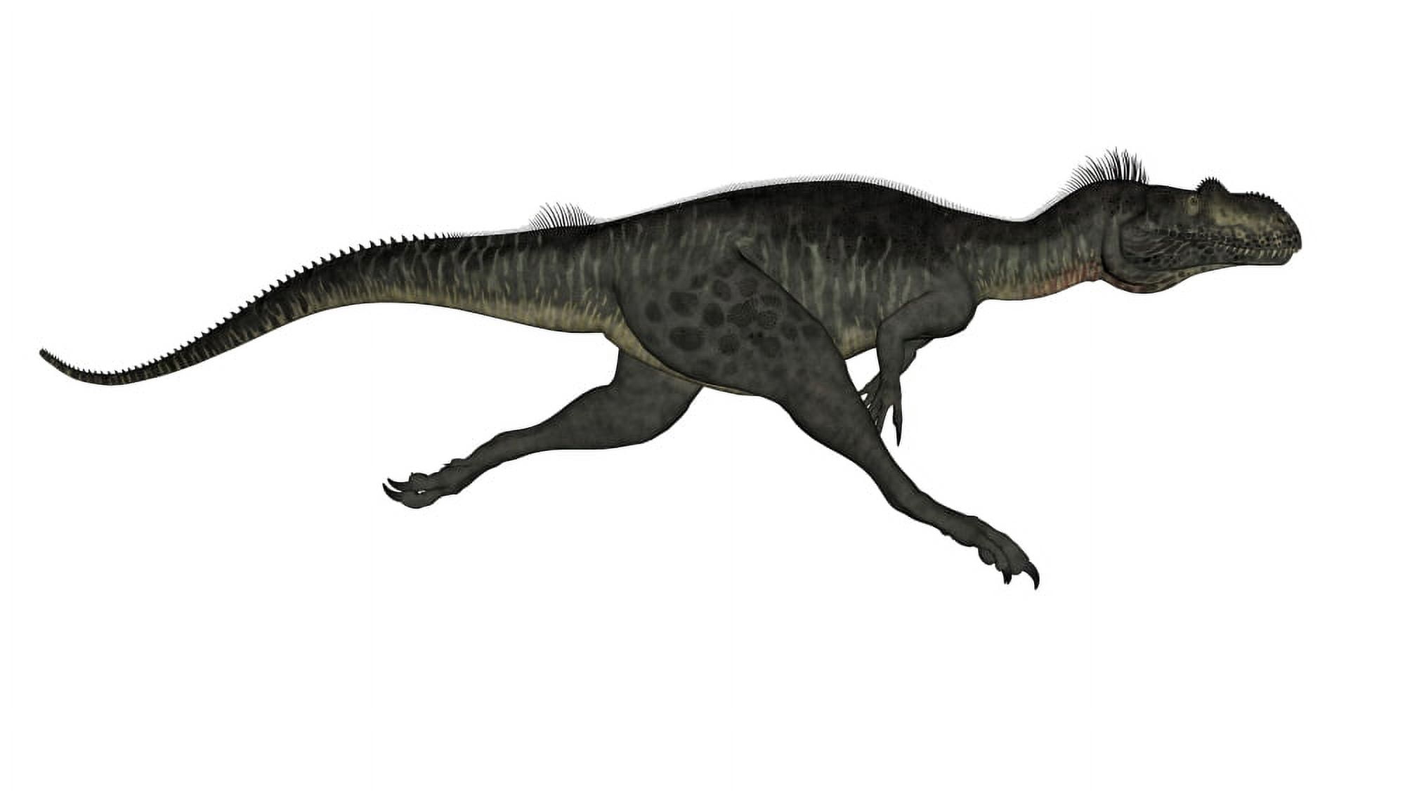 Megalosaurus dinosaur running white background Canvas Art - Elena DuvernayStocktrek Images (37 x 21)