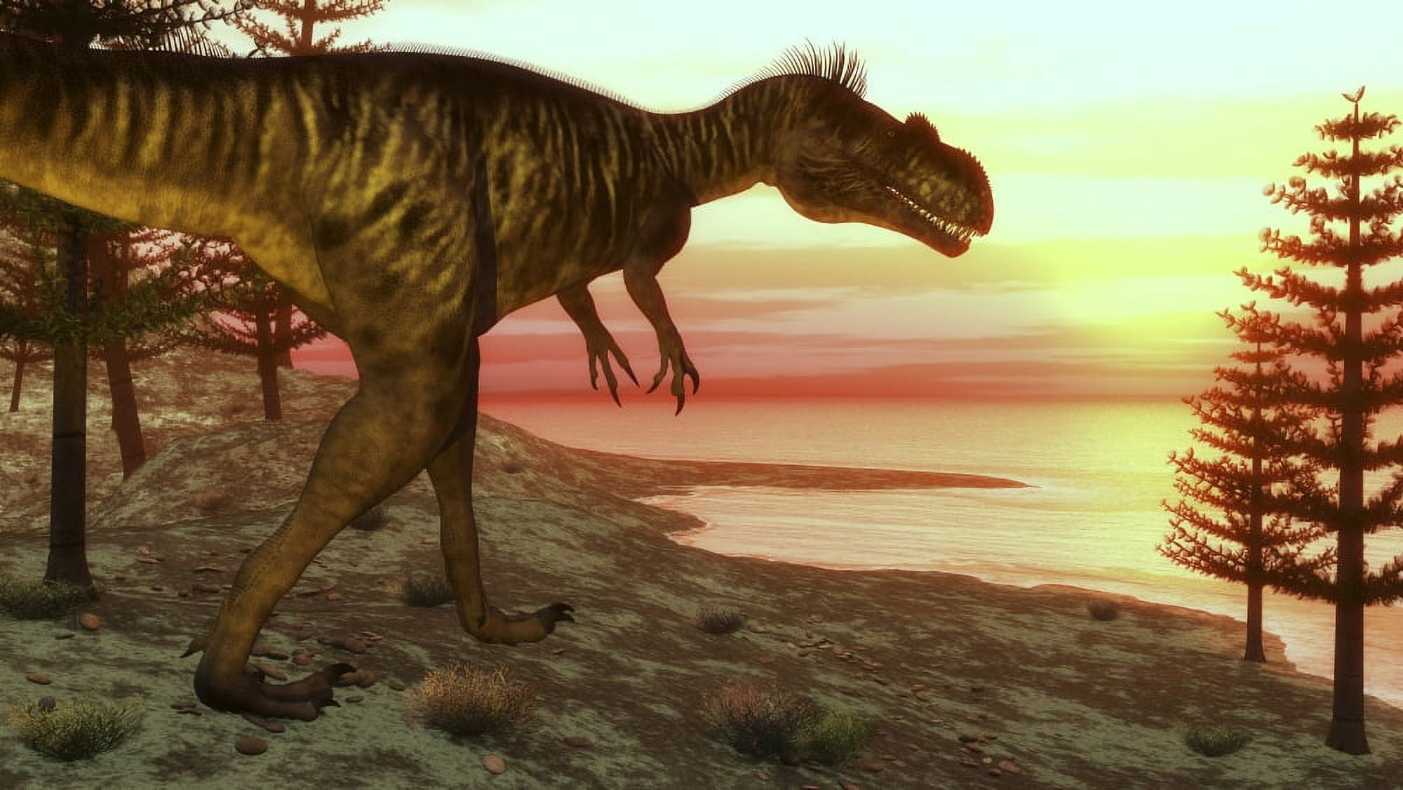 Megalosaurus dinosaur walking toward the ocean at sunset Canvas Art - Elena DuvernayStocktrek Images (19 x 11)
