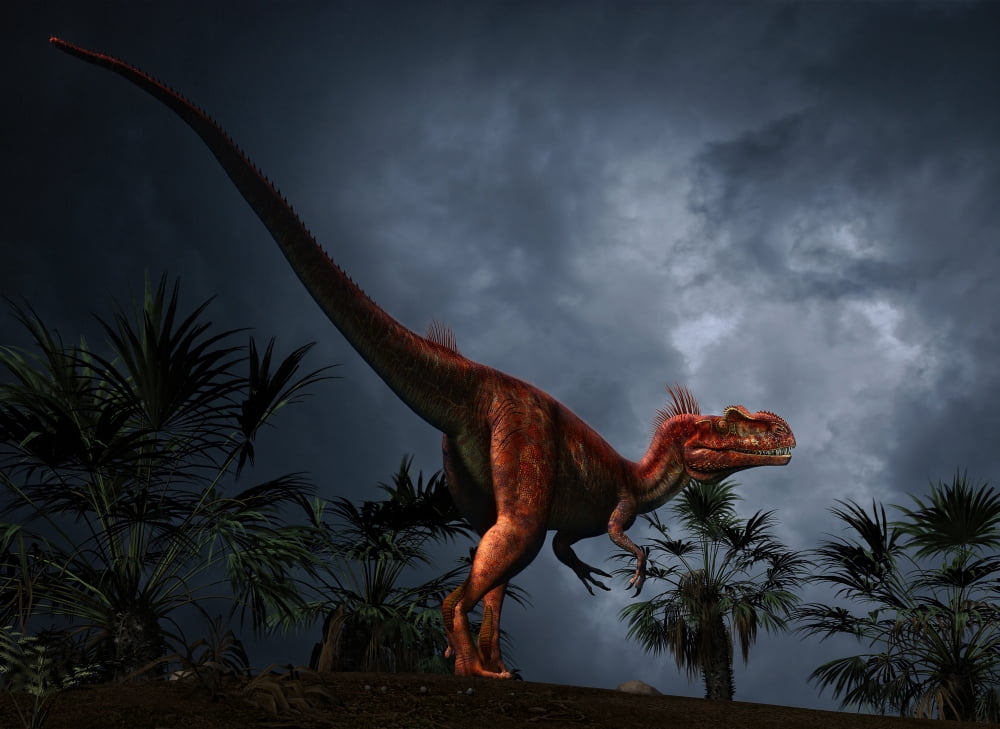 Megalosaurus was a large theropod dinosaur of the Middle Jurassic period Canvas Art - Philip BrownlowStocktrek Images (33 x 24)