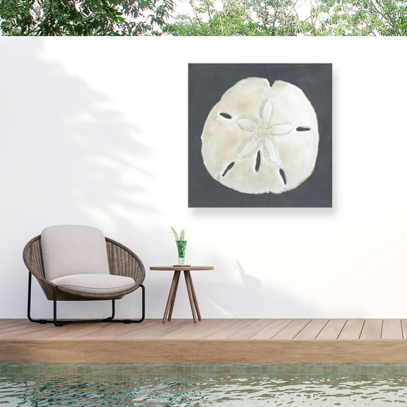 Megan Meagher 'Shell On Slate II' Outdoor Canvas 24x24