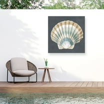 Megan Meagher 'Shell On Slate III' Outdoor Canvas 24x24