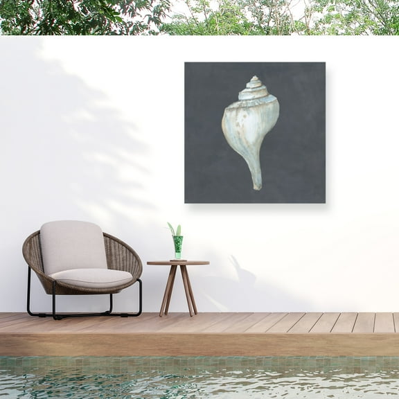 Megan Meagher 'Shell On Slate IV' Outdoor Canvas 18x18