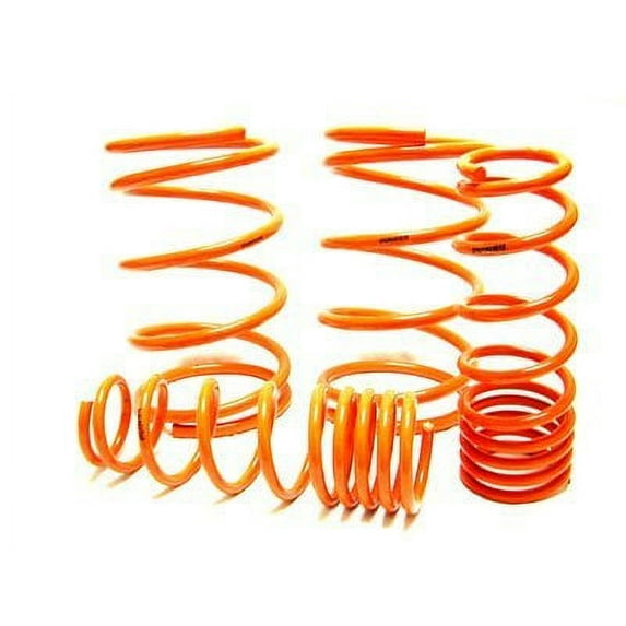 Megan Racing MR-LS-N3Z Coilover Lowering Spring