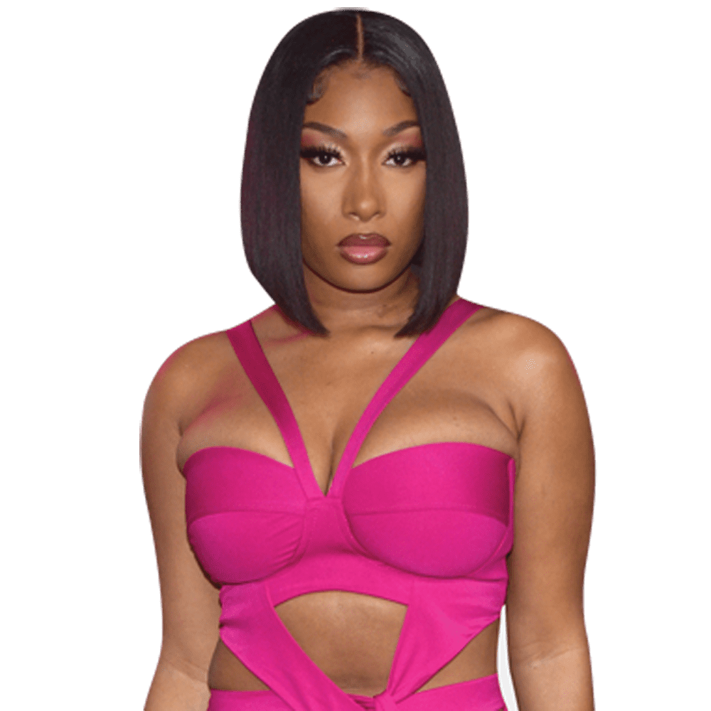 Megan Thee Stallion (Purple) Half Body Buddy Cutout