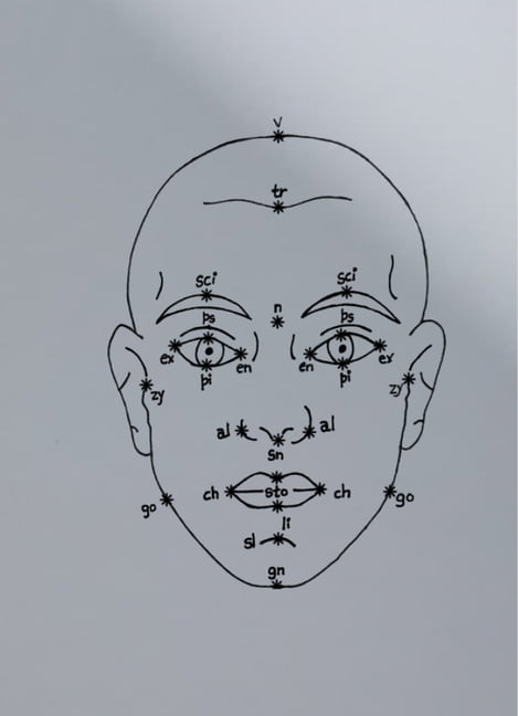 Megan Williams & Sheung Yiu: (Inter)Faces of Predictions: C/O Berlin Talent Award 2025, (Paperback)