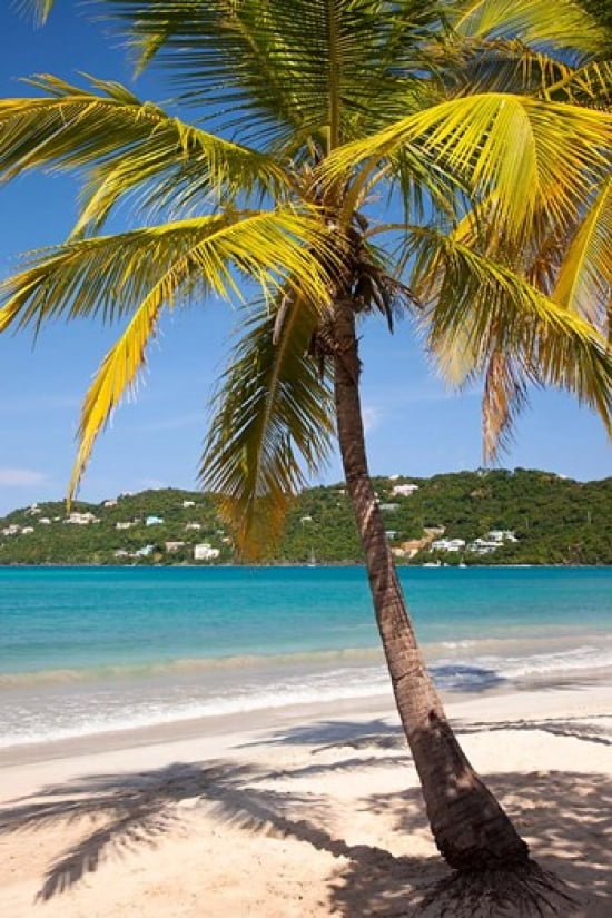 Megans Bay beach St Thomas US Virgin Islands Canvas Art - Brian Jannsen DanitaDelimont (19 x 28)