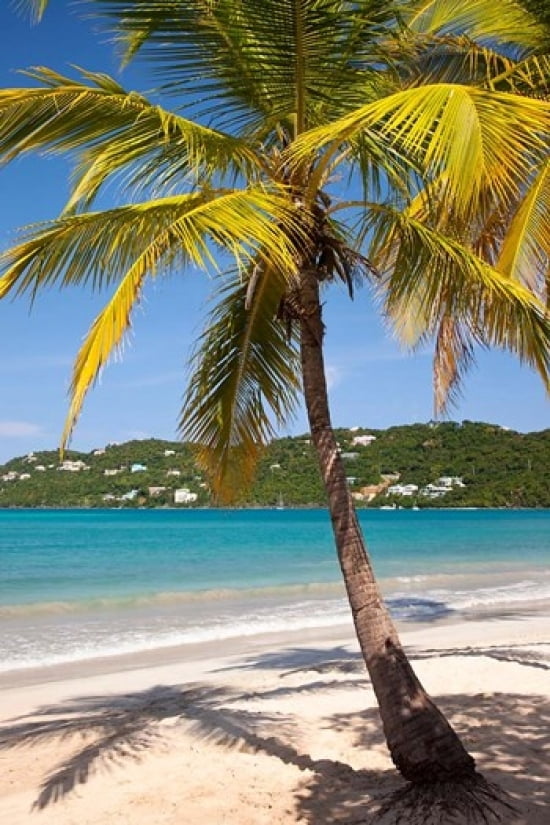 Megans Bay beach St Thomas US Virgin Islands Canvas Art - Brian Jannsen DanitaDelimont (24 x 36)