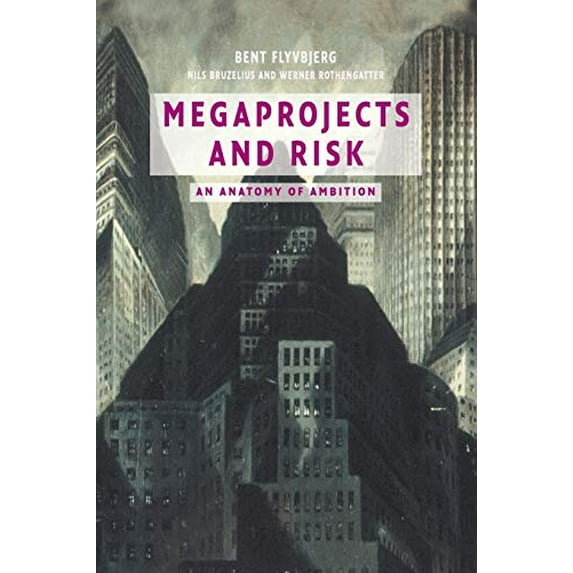 Pre-Owned Megaprojects and Risk (Paperback) 0521009464 9780521009461