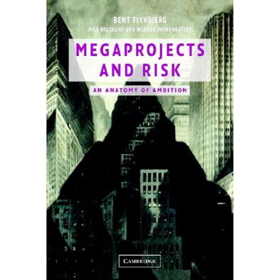 Pre-Owned Megaprojects and Risk (Paperback) 0521009464 9780521009461
