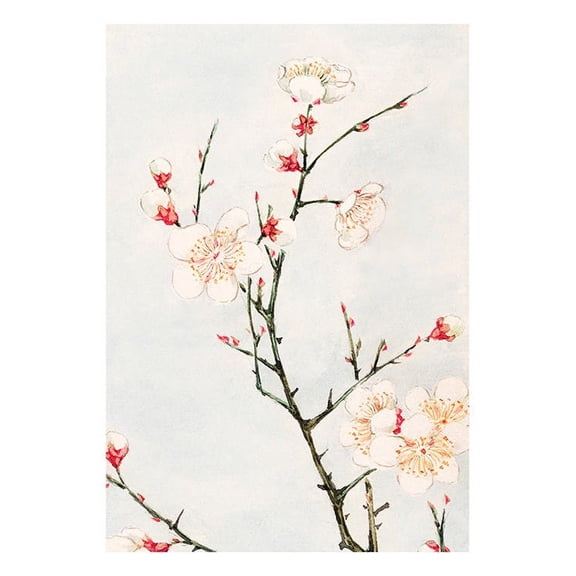 Megata Morikaga - Plum Branches With Blossoms Print Wall Art, Modern Wall Decor For Living Room Bedroom, 8x12 UNFRAMED
