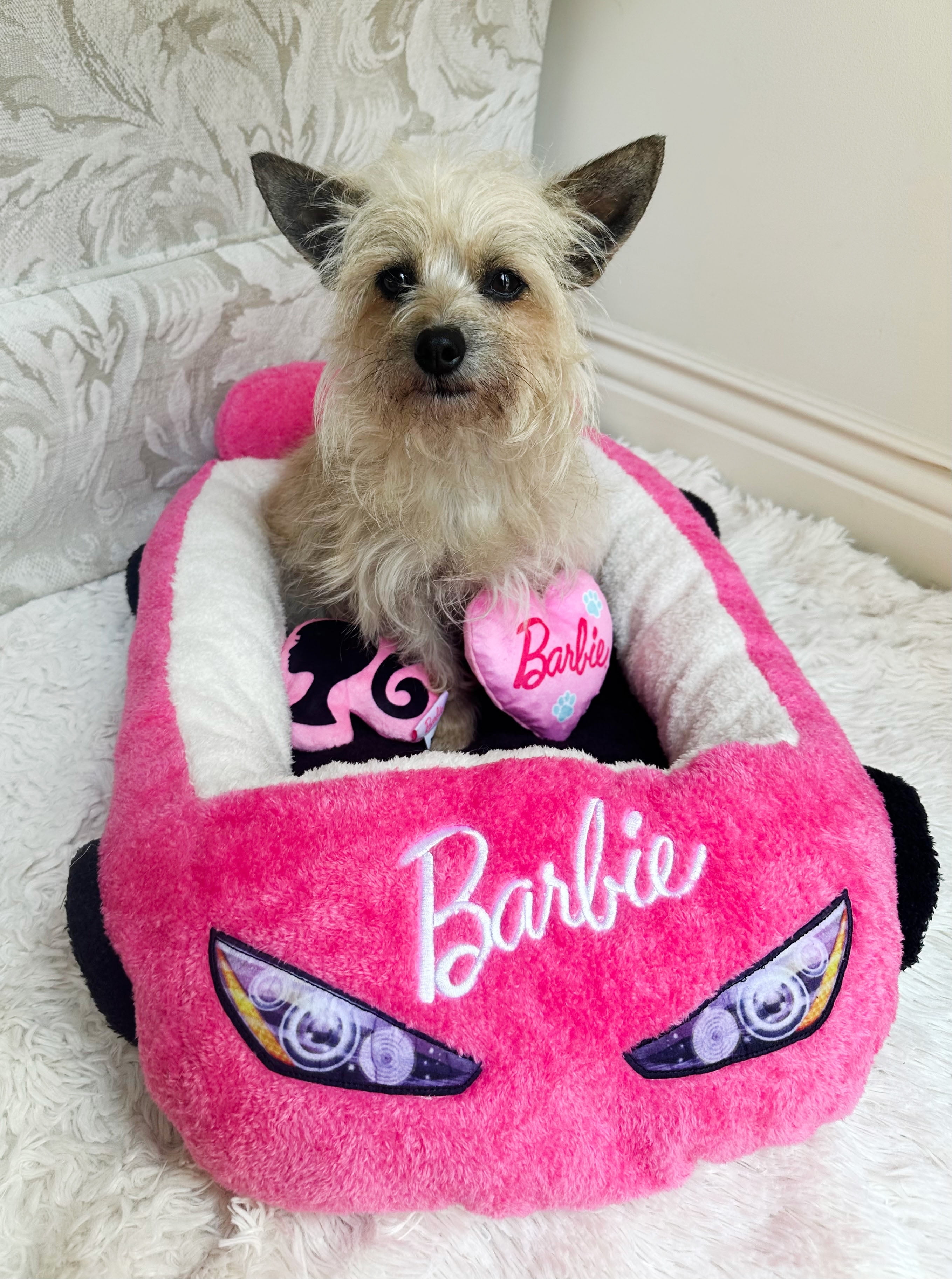 Pink Polyester Small Elevated Car Pet Bed with Toys