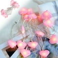thumbnail image 1 of Meggemo 3M 20LED Valentine's Day Heart Pink LED String Lights Battery Operated Romantic Ambiance Lighting Home Party Indoor Decor Festive Celebration Sweetheart Gift, 1 of 5